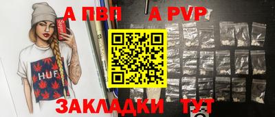 шишки Аргун
