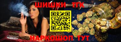 шишки Аргун
