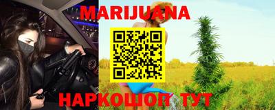 шишки Аргун