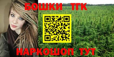 шишки Аргун