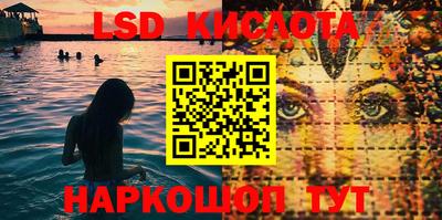 шишки Аргун