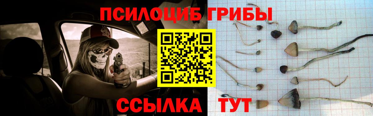 Галлюциногенные грибы MAGIC MUSHROOMS  Вход с VPN  Благодарный 